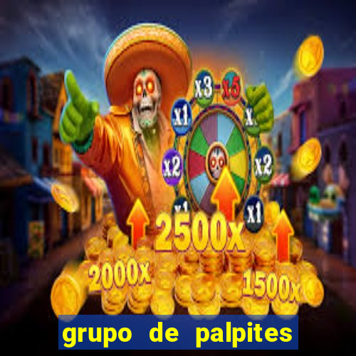 grupo de palpites de futebol telegram